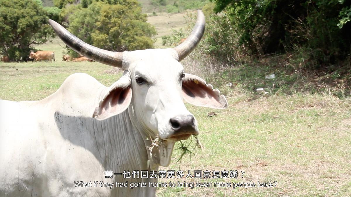 民族的想像與製造-12的封面圖