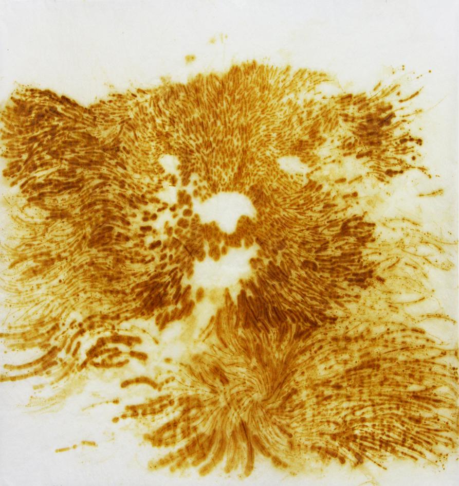 《焦焦兒：ㄊㄏㄒ》的封面圖