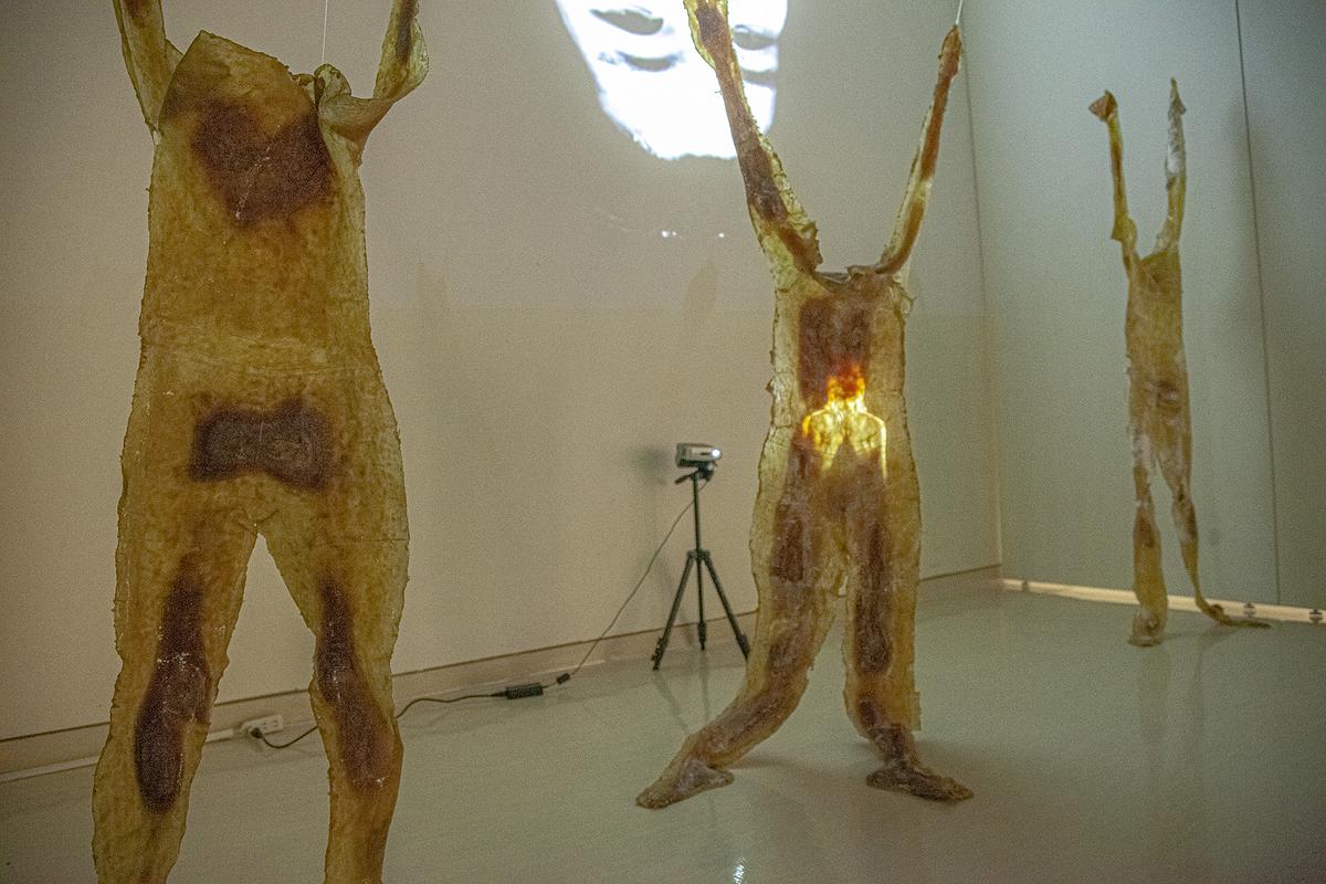 異類之於同體_12的封面圖