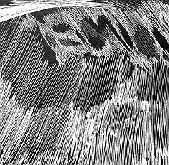 A Path To Create Your Own Belief : Happy worship  An Statement of  LIU, CHU-AN ’s Artworks's Cover