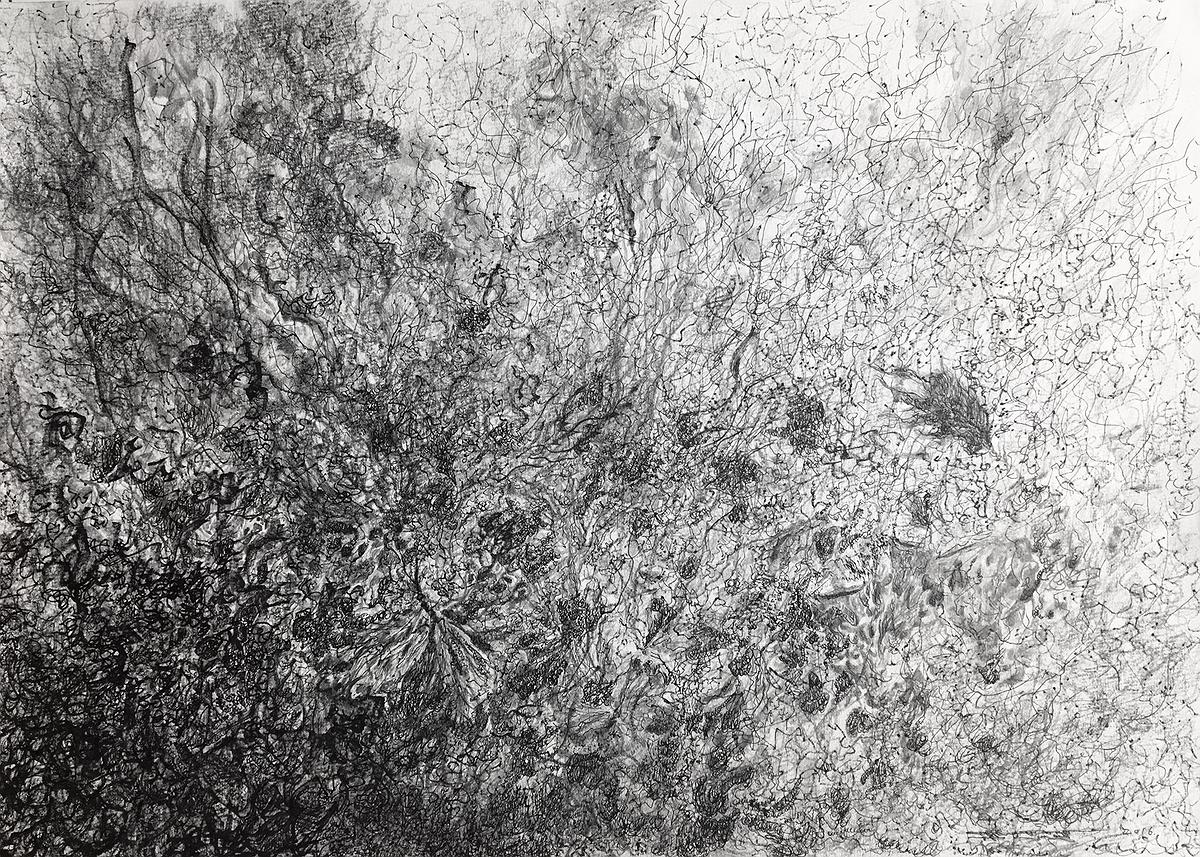 〈蝶舞之二〉，2016，石墨、油性墨、水性墨、水彩紙，38.6 cm × 54.5 cm.的封面圖