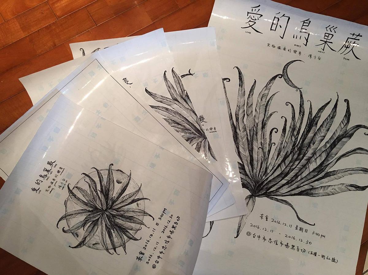 11-3陳于安，〈愛的鳥巢蕨〉的封面圖