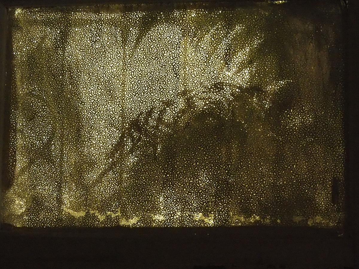 多線創作的首拍：陳昱廷創作研究 35 陳昱廷，〈庭〉，植物、人造植物、燈、光影、木材，依場域而定，2018。2的封面圖