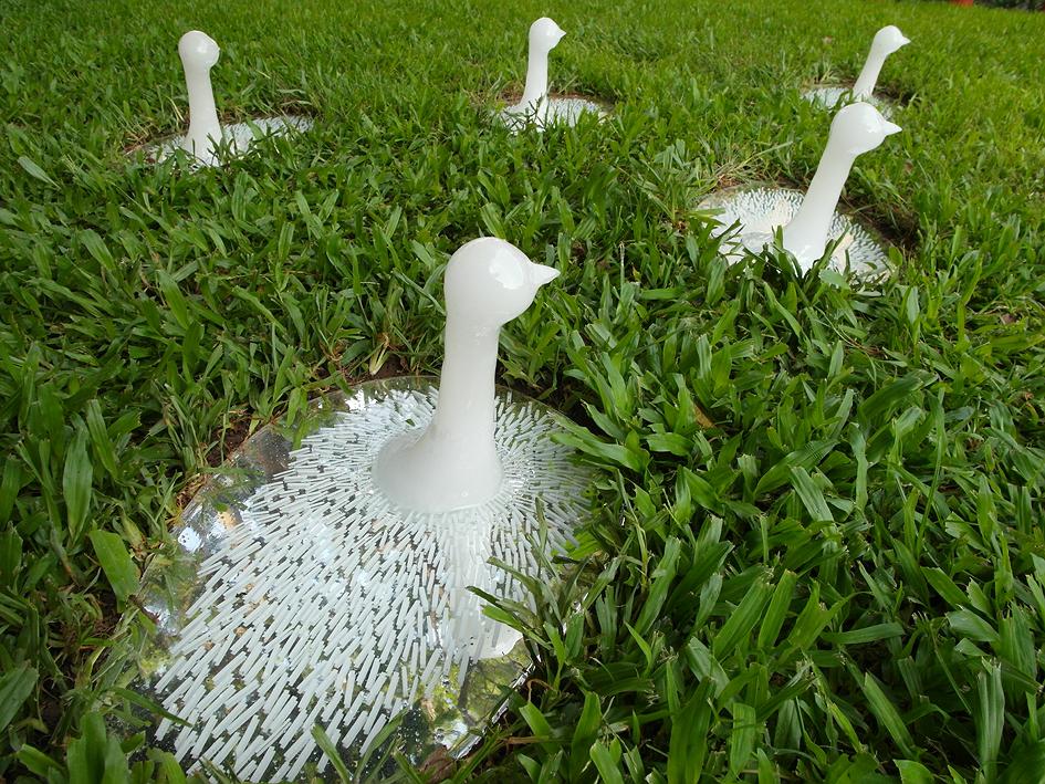 《黃色小鳥─看不見》的封面圖