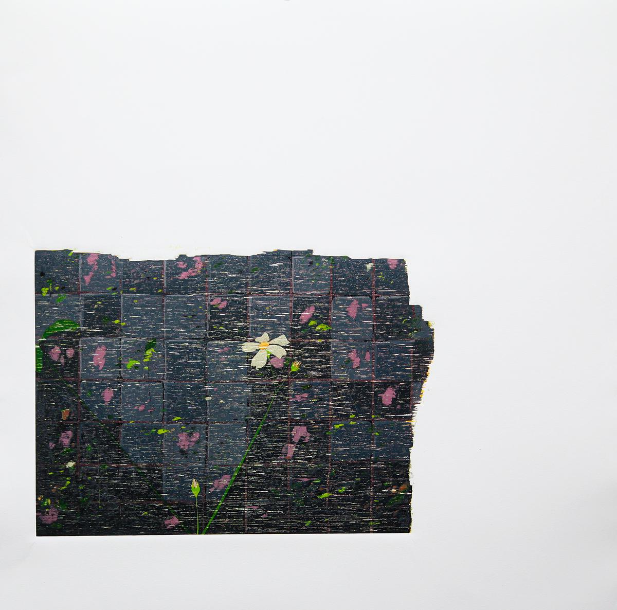雜花集作品-5的封面圖