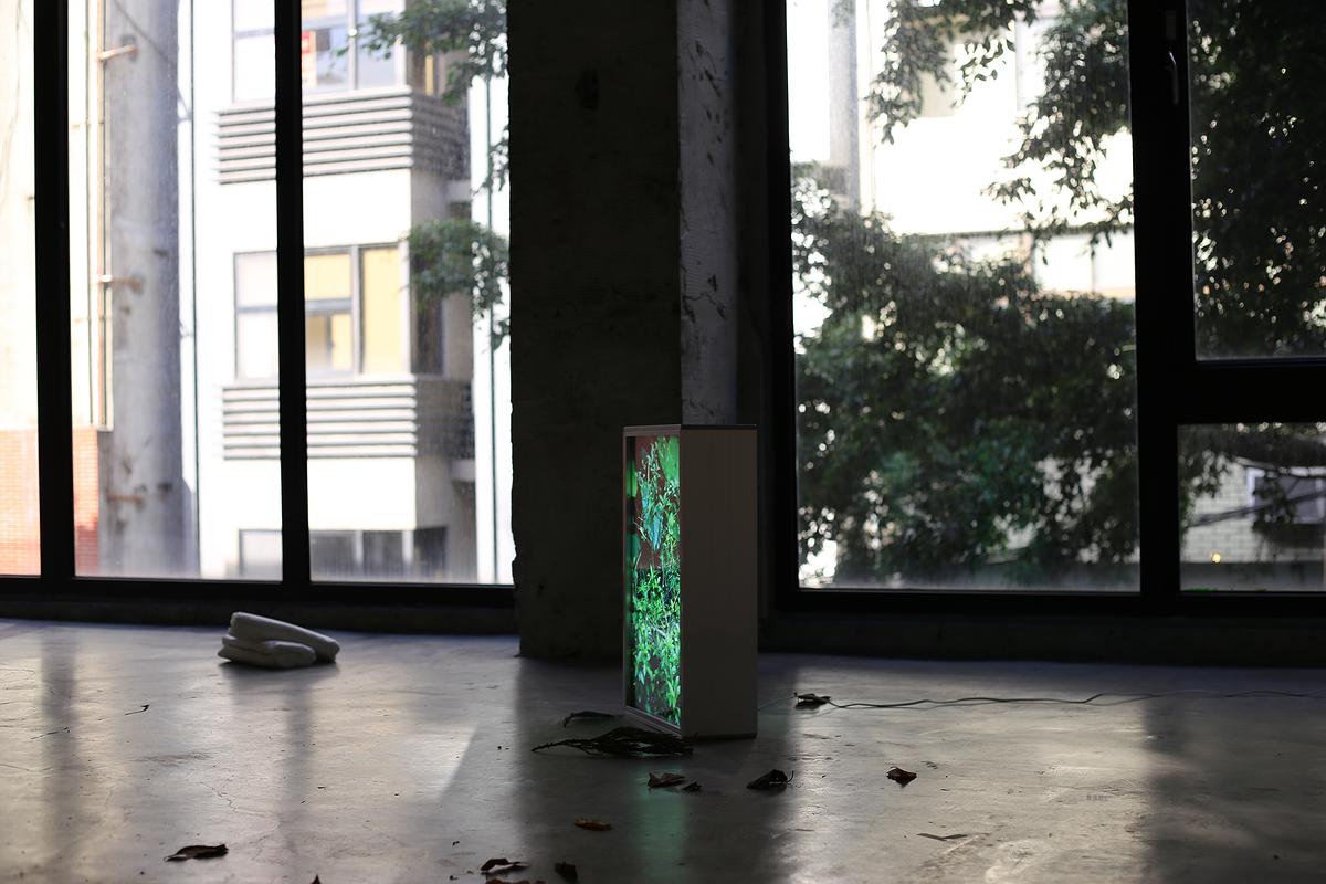 棲居詩學—梁家寧創作論述 《棲居詩》5的封面圖