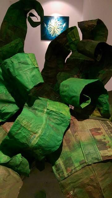 11-42陳于安，〈愛的鳥巢蕨究極溫柔的樂章〉展覽現場的封面圖