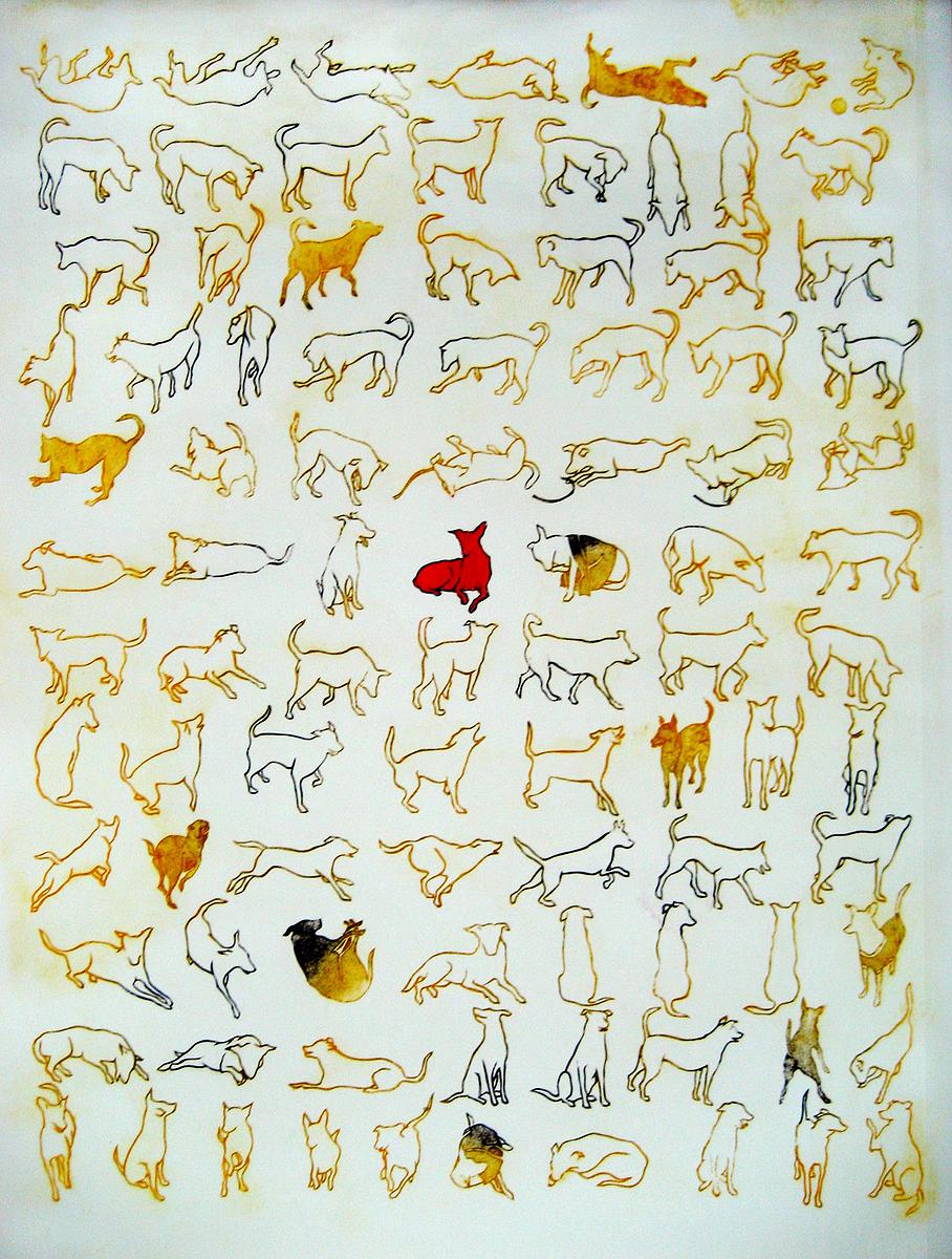 《寶貝》的封面圖