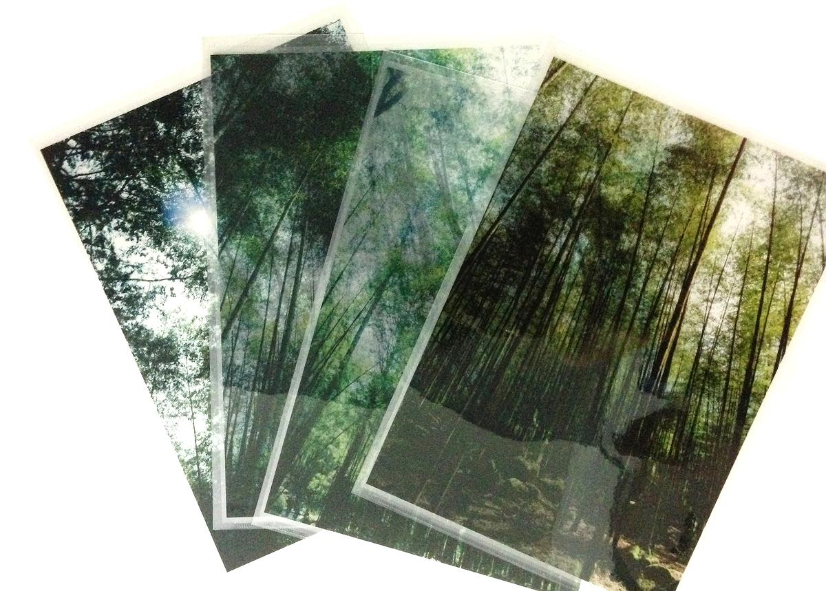 Integrity, a Full House of Bamboo The Studies of Bamboo Culture and Conceptual Images's Cover