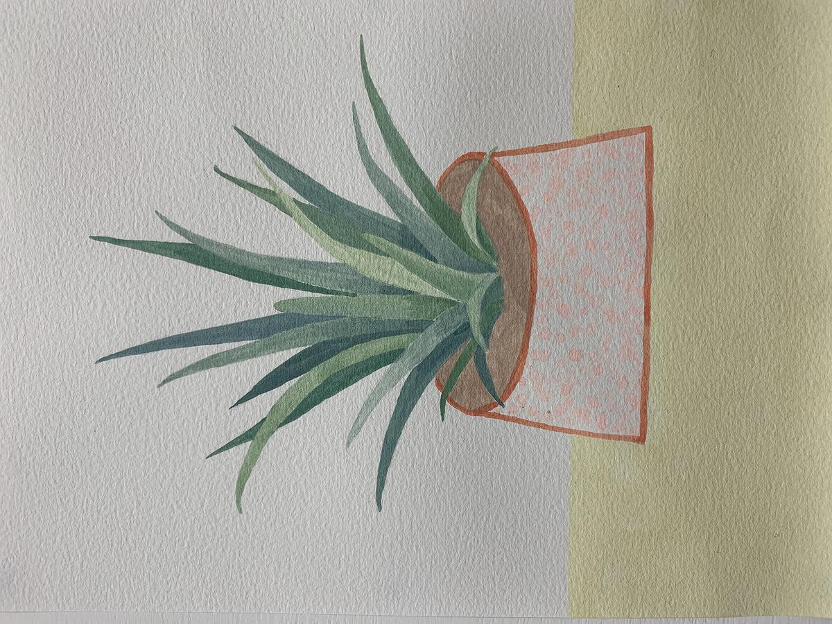 Plants Healing—A Discourse on Ying-Syuan Huang's Artworks's Cover