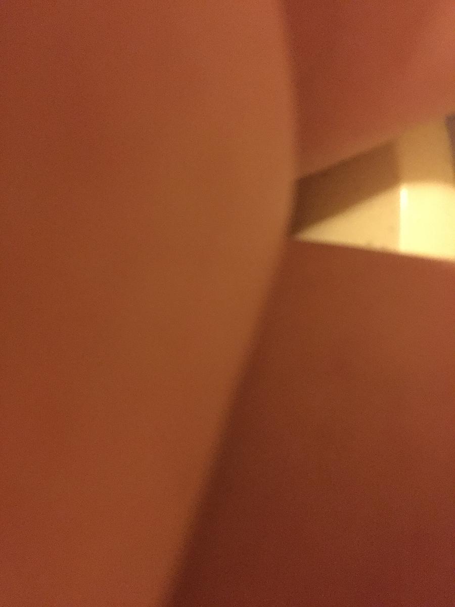 我的身體系列-我的身體7-2017-新竹的封面圖