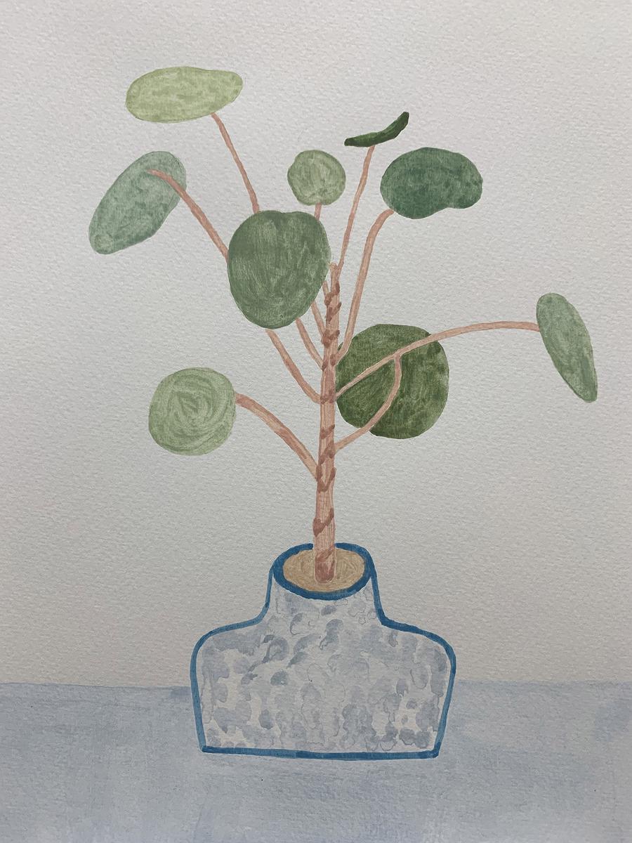 植物療癒—黃瑩瑄創作論述 花草系列 盆栽 32的封面圖