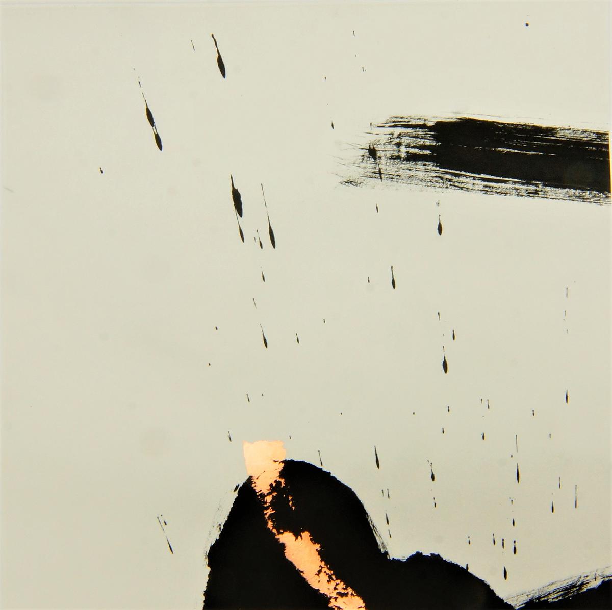 C's Cover