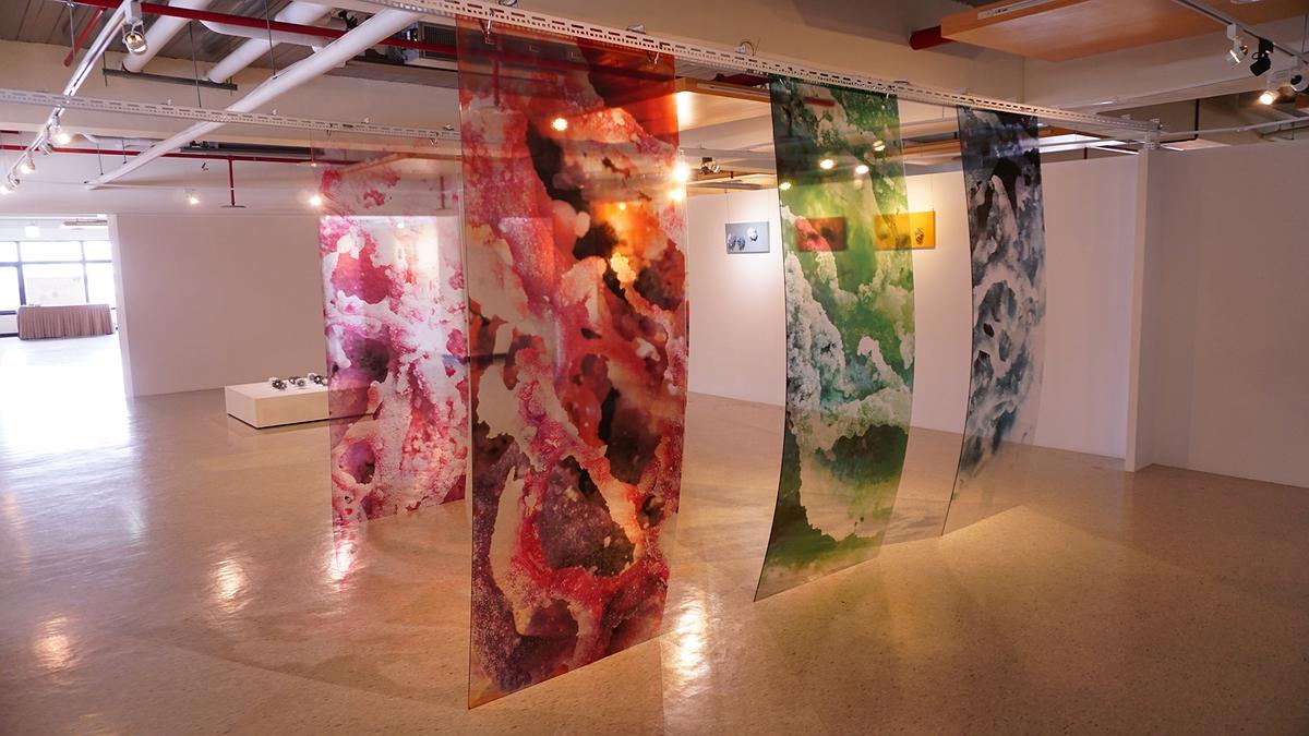 潛境－梁紫祺無胎體琺瑯創作論述-展覽照片-19的封面圖