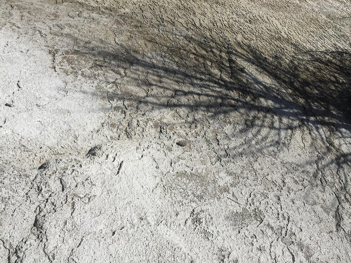 內心視界系列-存在的幸福-2016-美國的封面圖