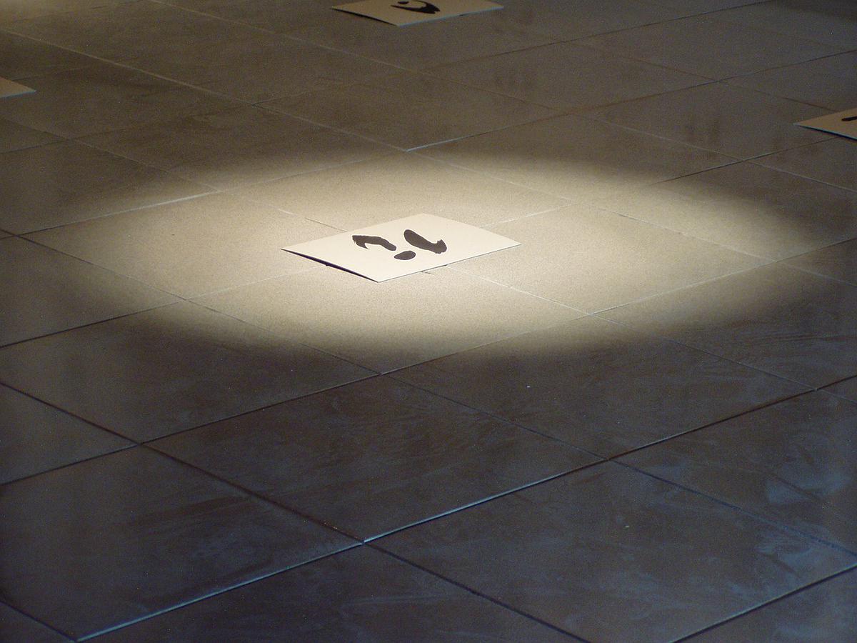 意識墨：跨越、繁衍、游移，一種流動式的活體觀-20的封面圖