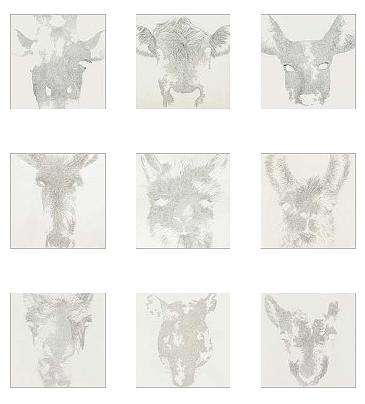 《地圖G》的封面圖