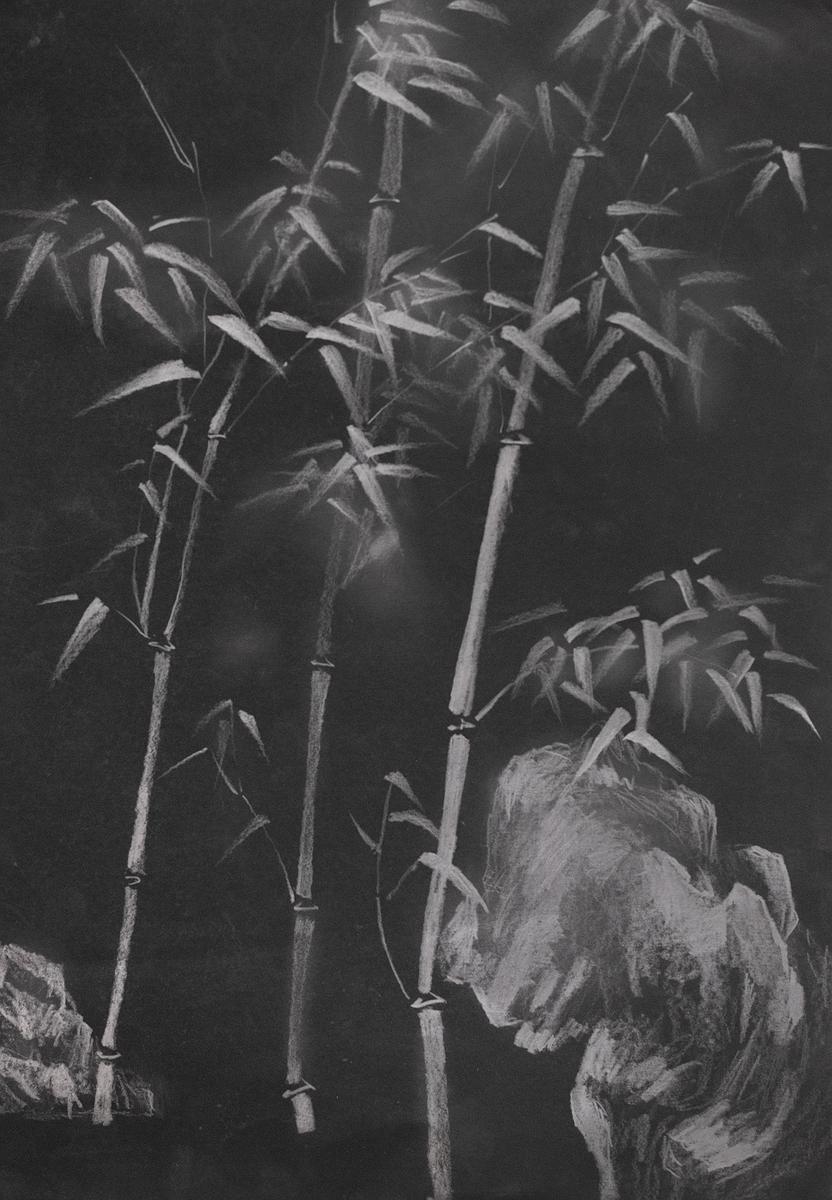 〈竹石04〉的封面圖