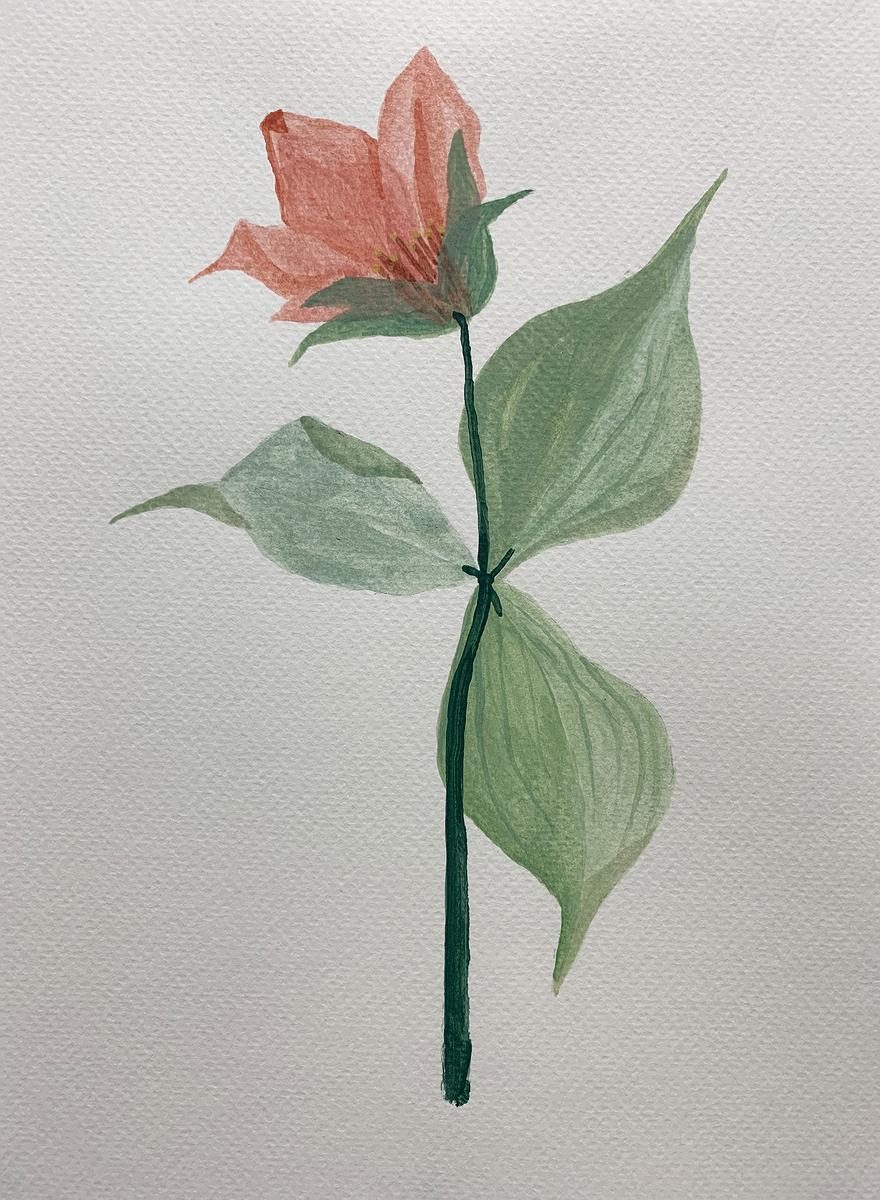 植物療癒—黃瑩瑄創作論述 花草系列 一枝花 01的封面圖