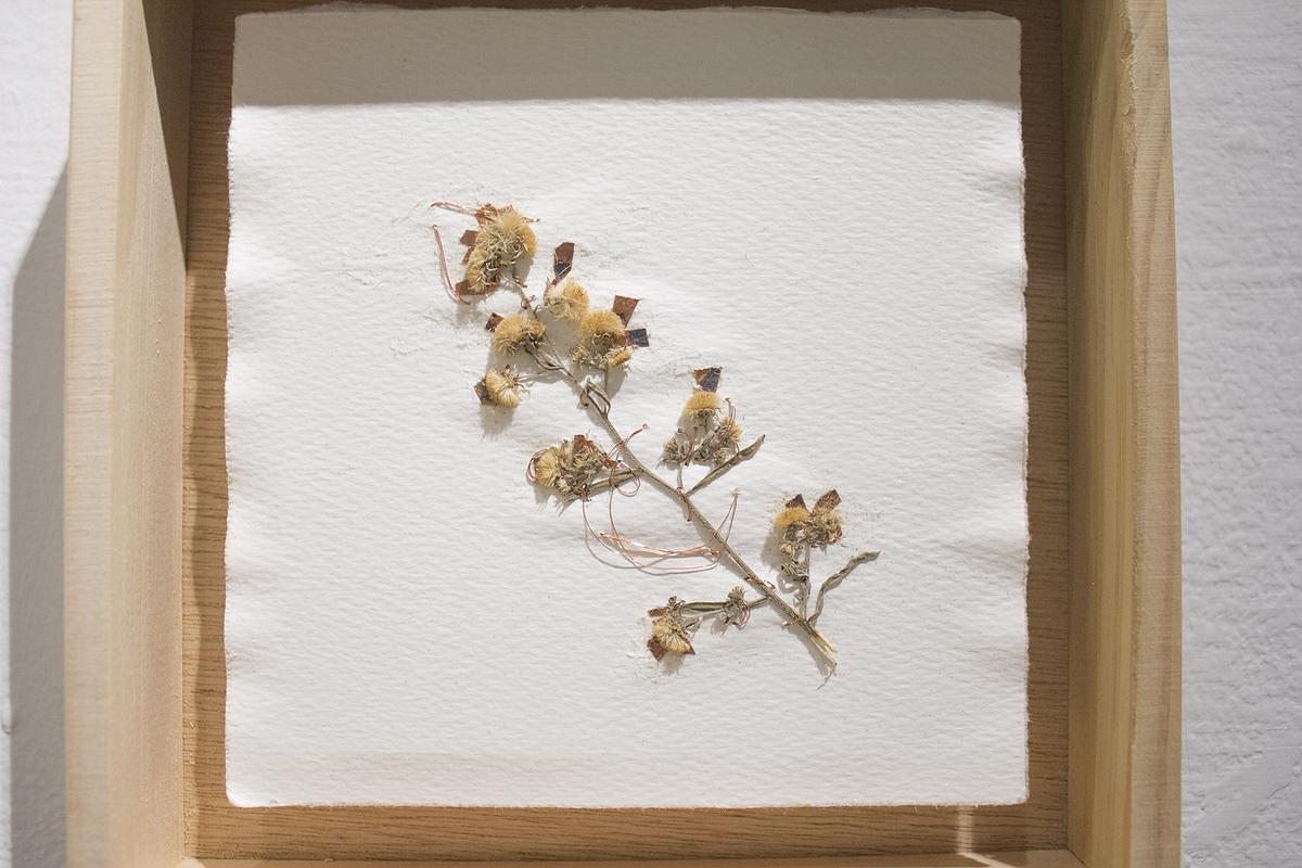 多線創作的首拍：陳昱廷創作研究的封面圖