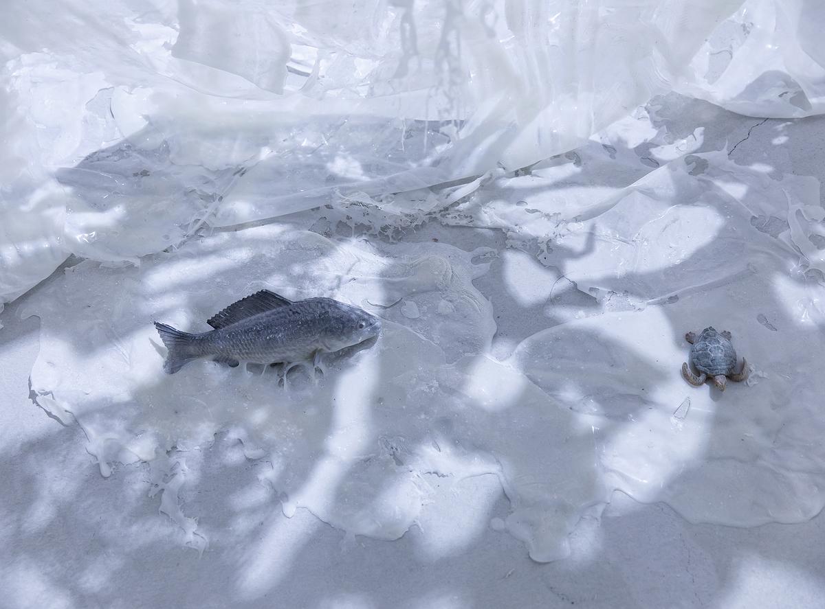 〈流變空間〉，2022，樹酯、繪製後的模型魚、烏龜、痱子粉、Antari ICE-101，依場域而定，作品局部的封面圖