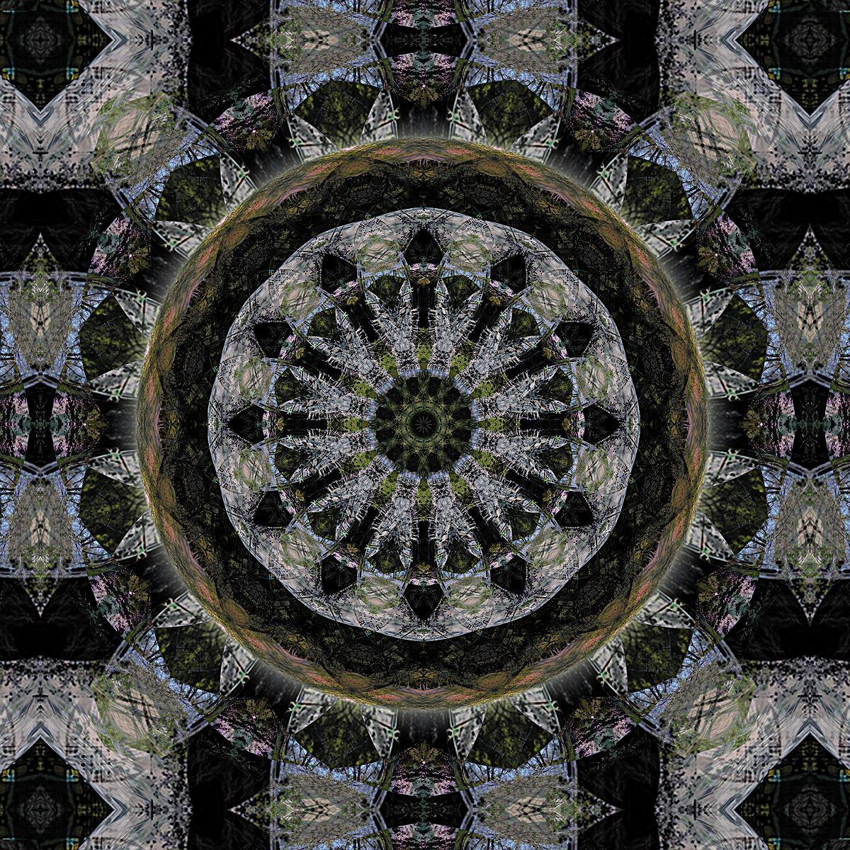 The Study of Using Mandala Drawing for Emotional Relief's Cover