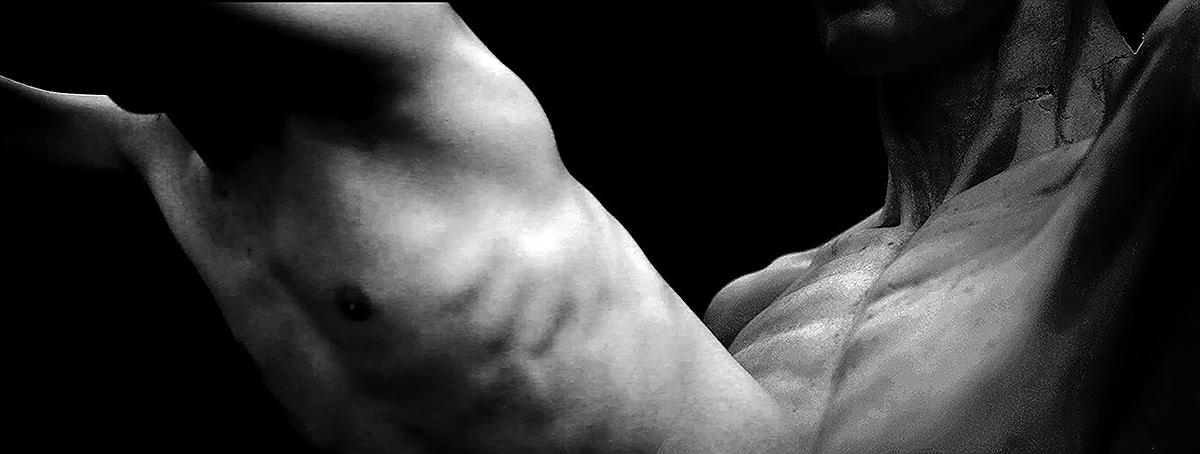 雙生體1的封面圖