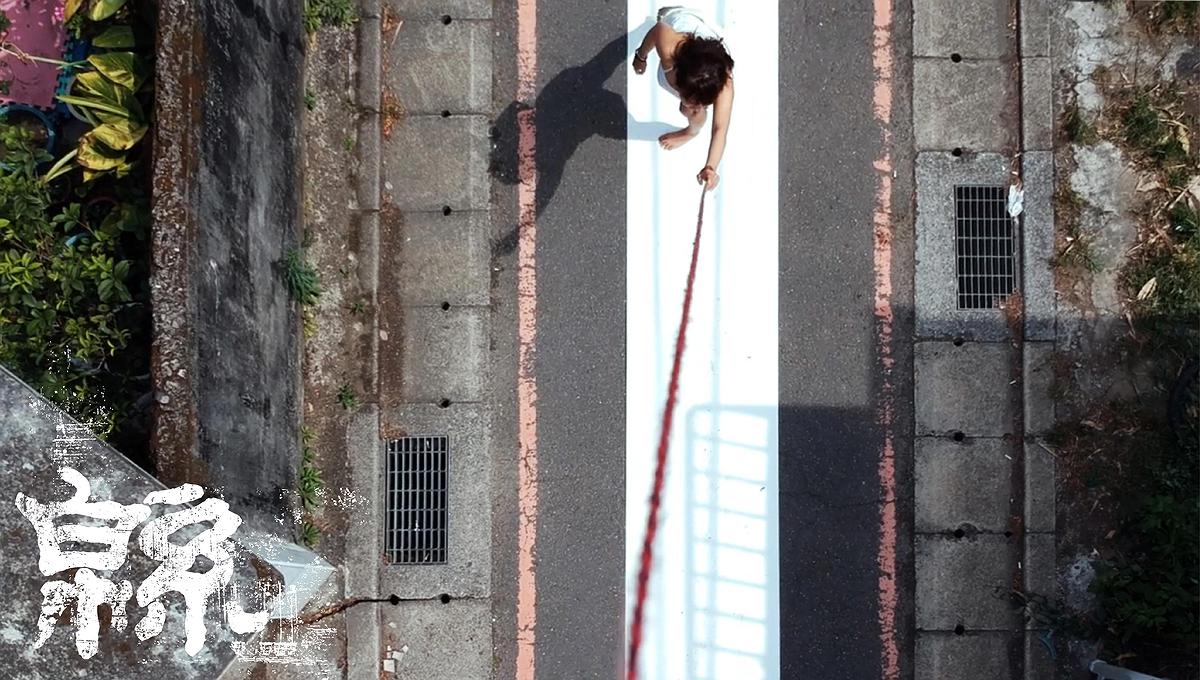 Art, destiny to myself with Zi Wei Dou Shu's Cover