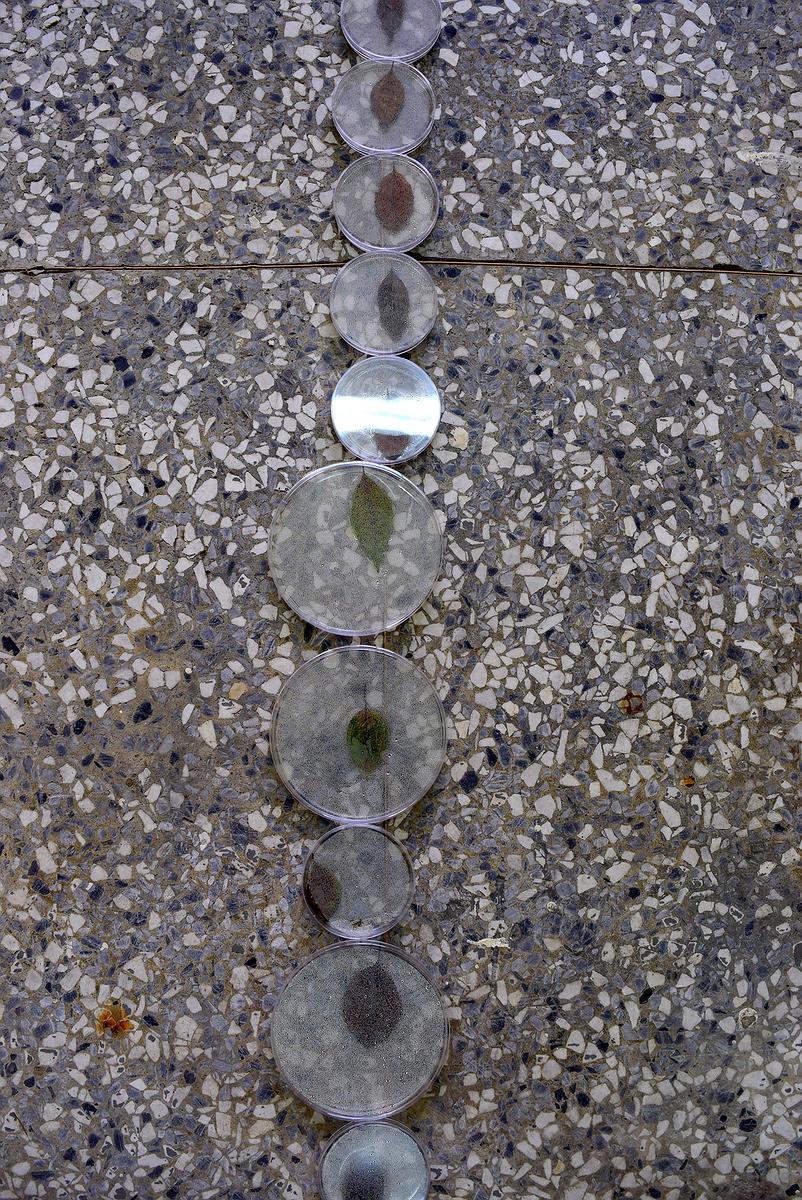 流 局部一的封面圖