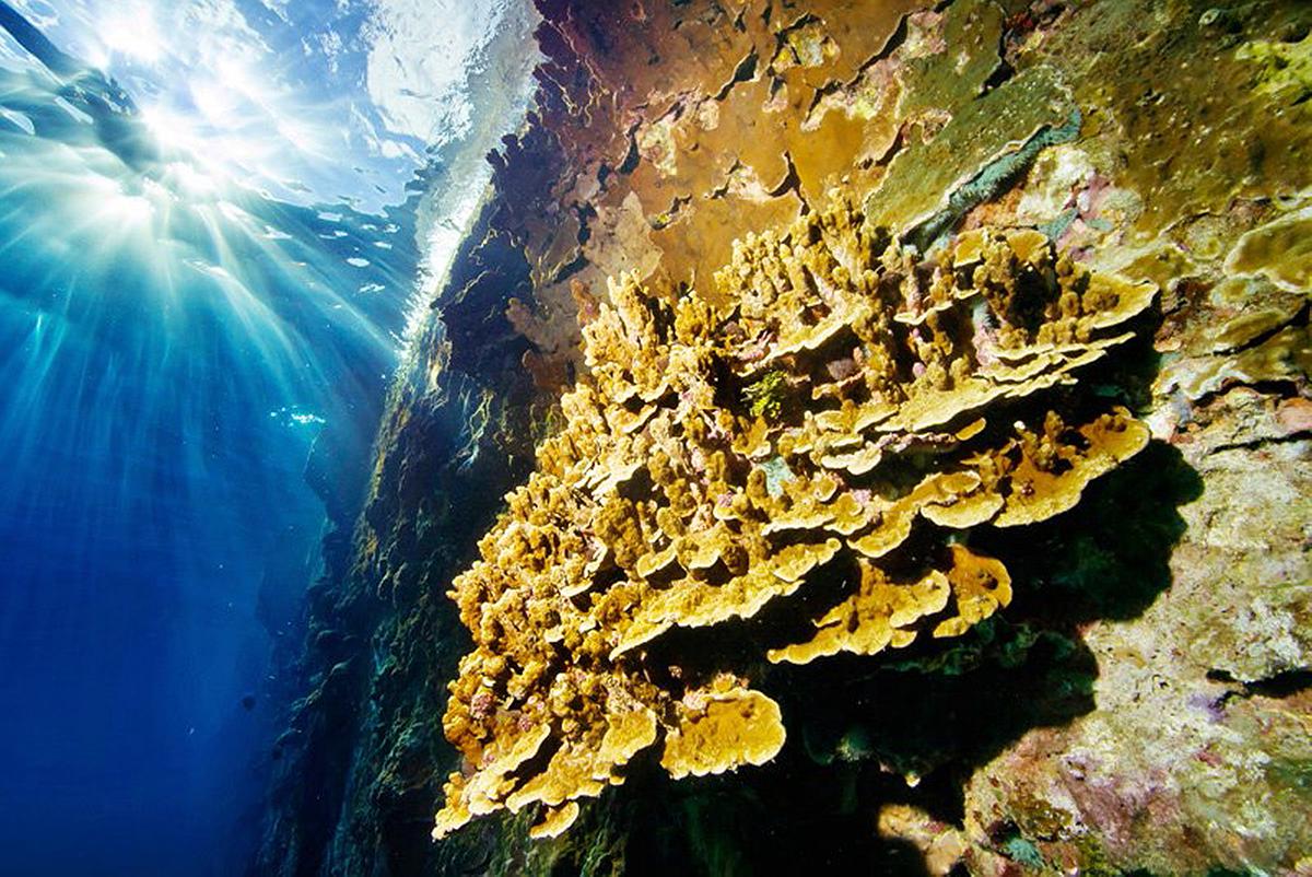 Lanyu of Seeing-53's Cover