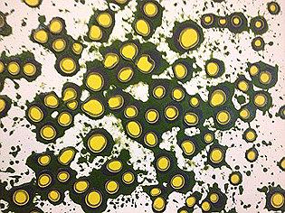 筆者在轉換工具初探的局部圖騰的封面圖