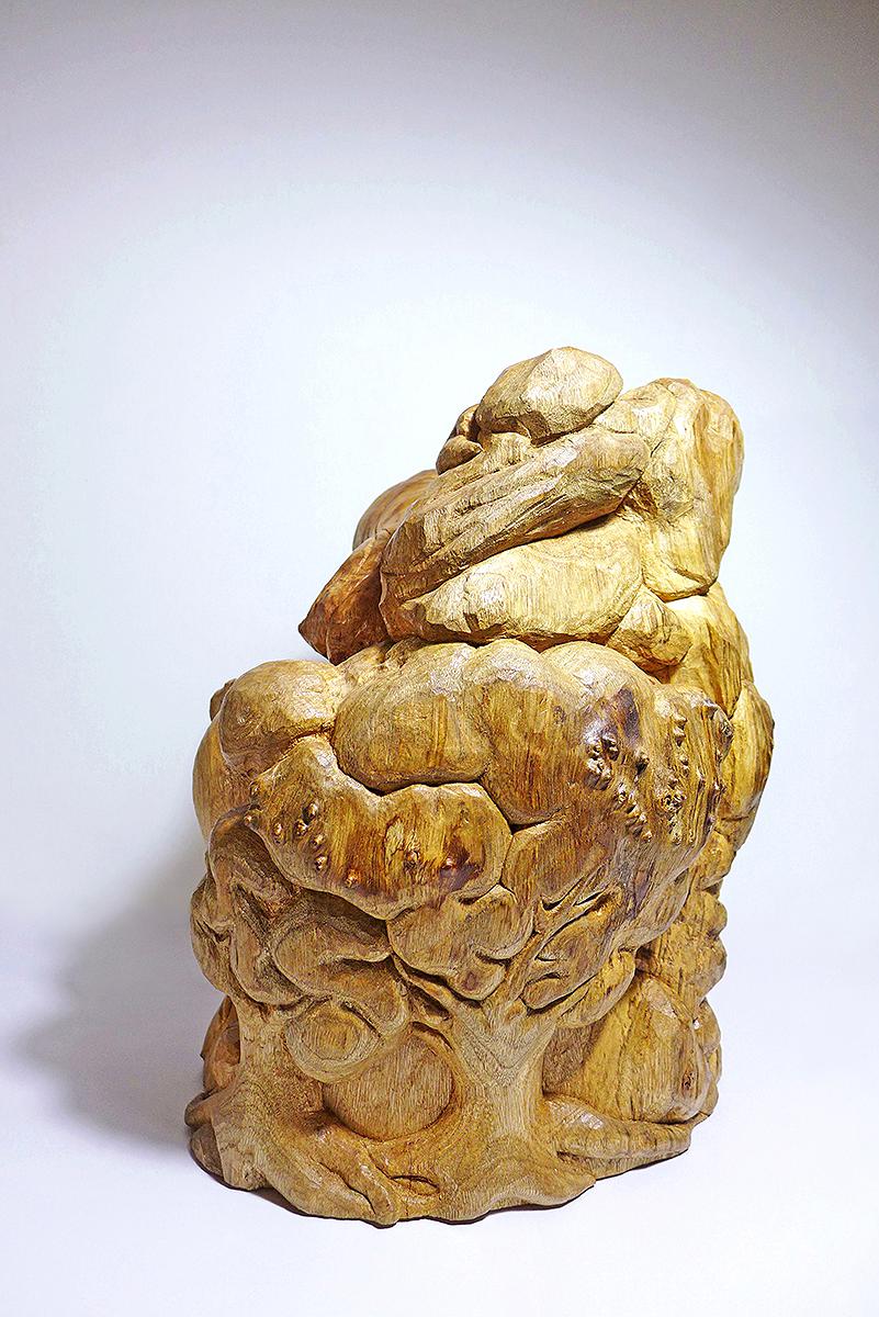 2017思暮月亮d的封面圖