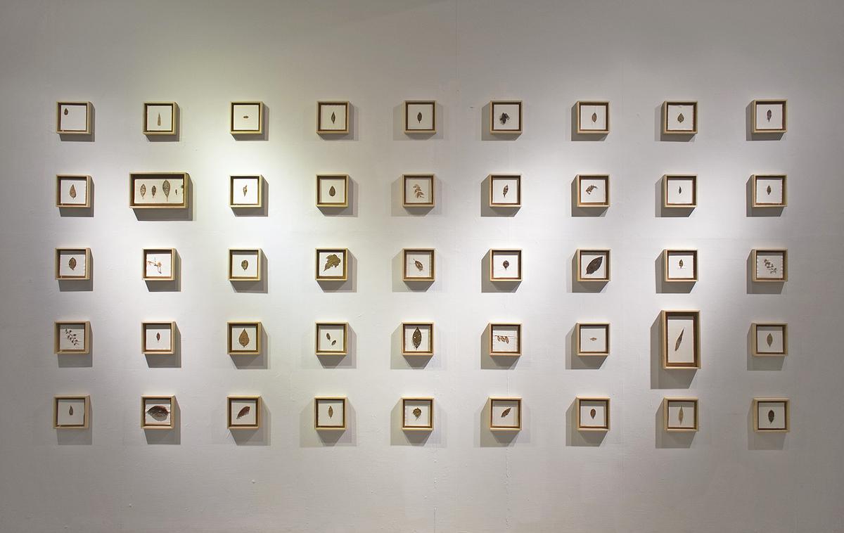 多線創作的首拍：陳昱廷創作研究 陳昱廷，〈P.S. (_____)〉，銅箔、銅線、葉子、水彩紙、木頭，各18x18cm(共 45 個)、各 32x19cm(共 2 個)，2016。8的封面圖