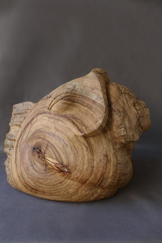 2013共生a的封面圖