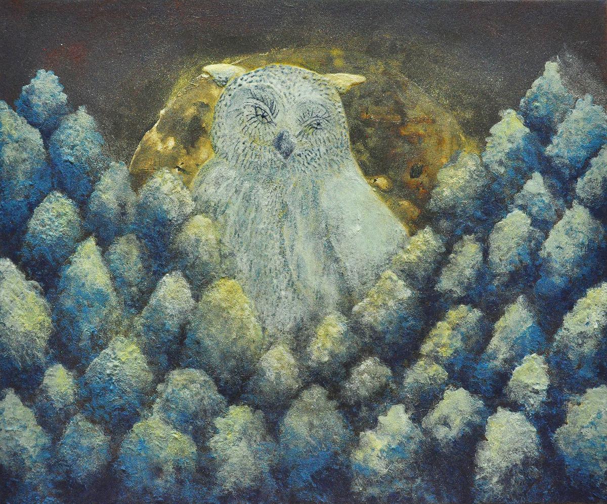 貓頭鷹的封面圖