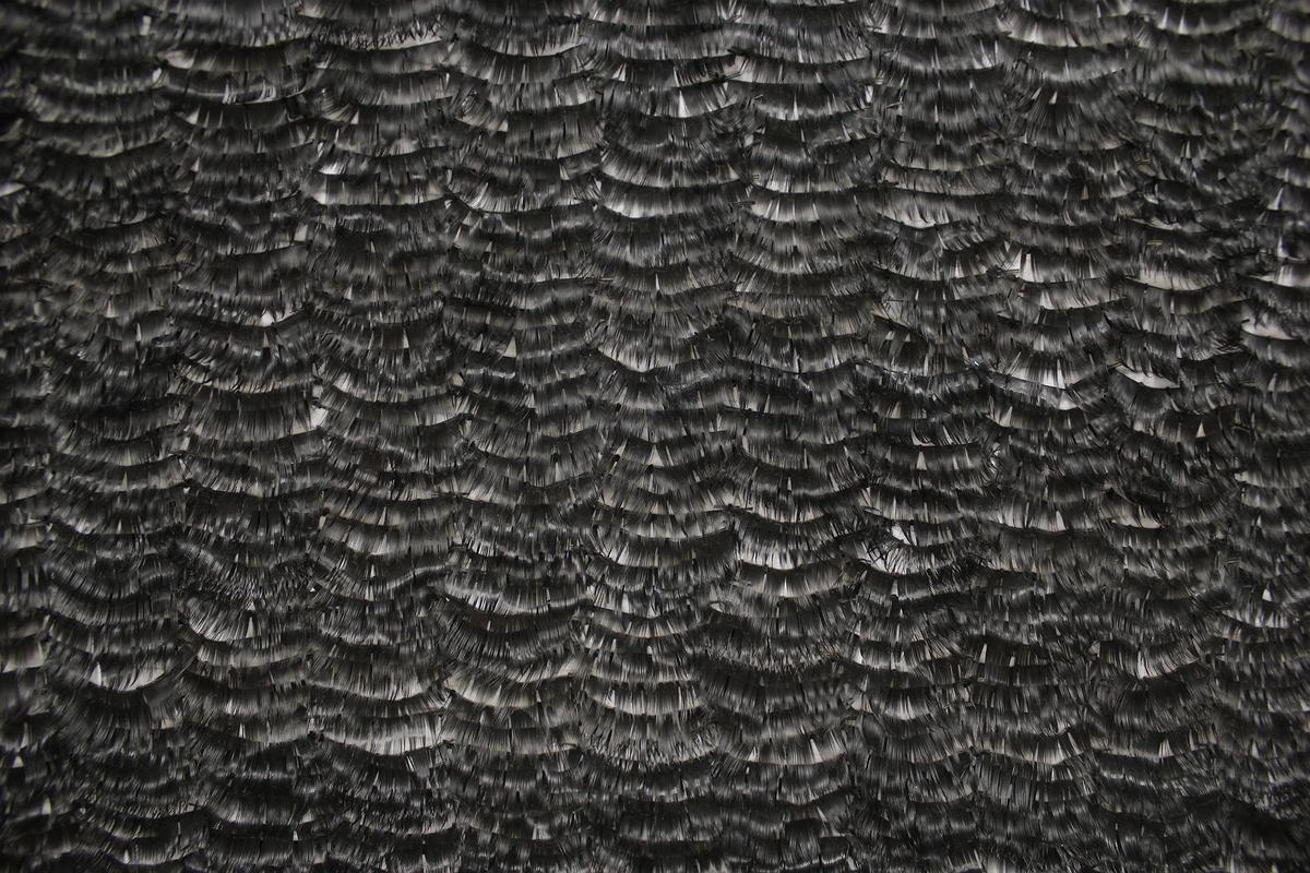 親愛寶貝_02的封面圖