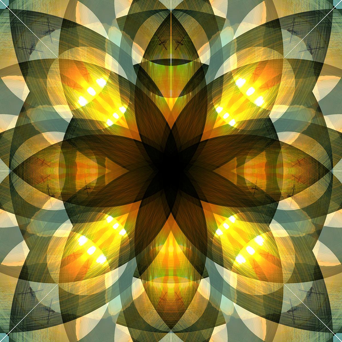 The Study of Using Mandala Drawing for Emotional Relief's Cover