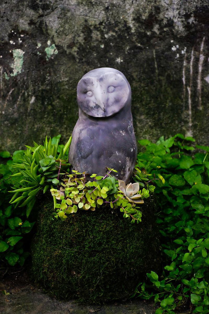 青苔球花器2的封面圖