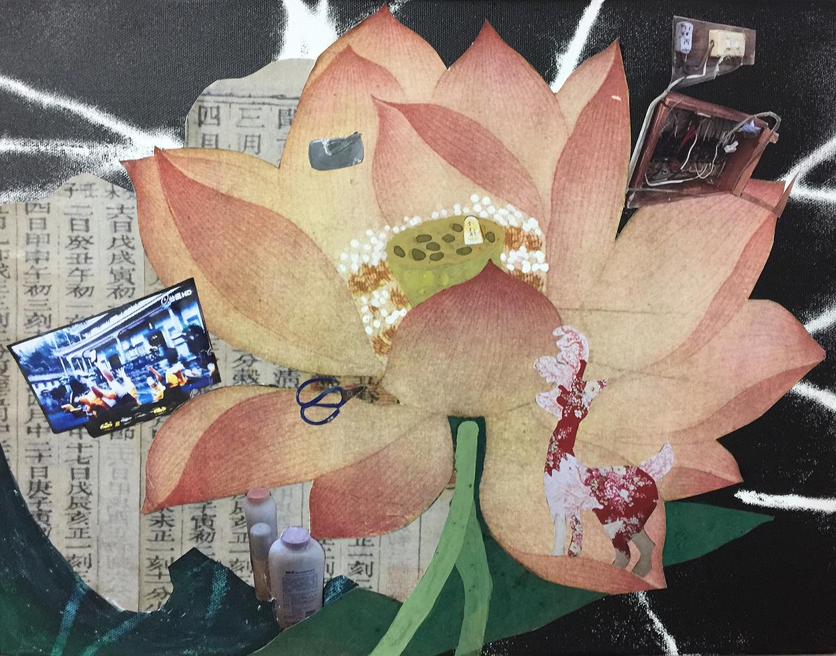 花中物語-蓮的封面圖