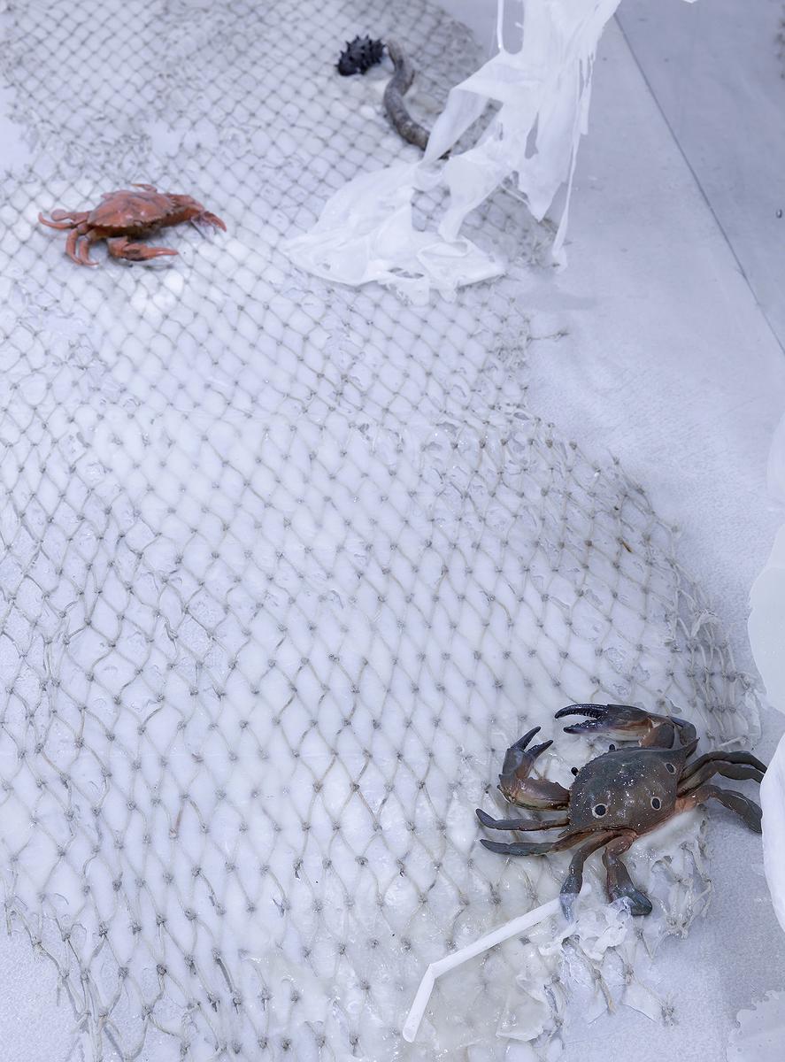 〈流變空間〉，2022，左：樹酯、漁網、繪製後的模型魚、海邊廢棄生鏽鐵絲網、石頭、痱子粉、Antari ICE-101。右：繪製後的模型螃蟹、海參、漂流木、海邊吸管。依場域而定，作品局部-2的封面圖