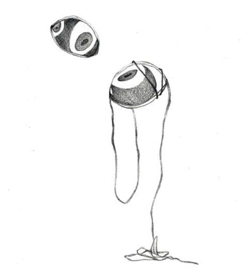 啟動身體感知 — 劉昕宜創作研究 3-2-2的封面圖