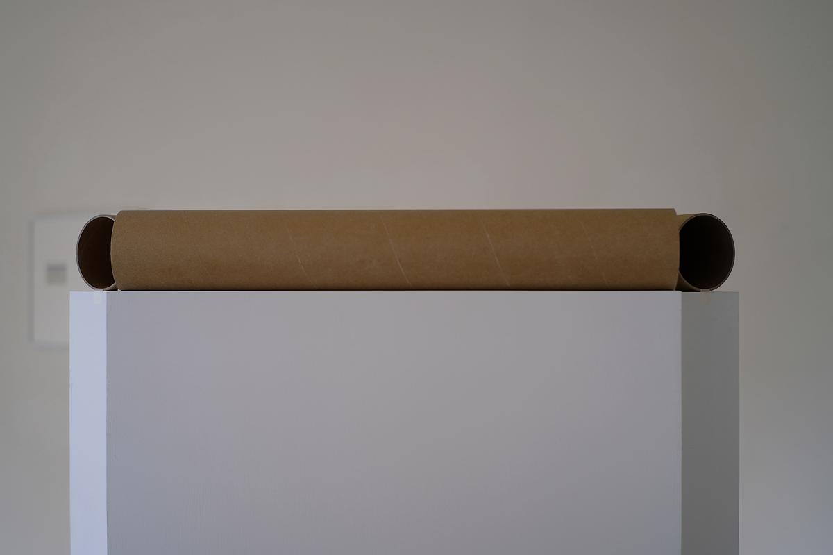 Temporary Scenes-4's Cover