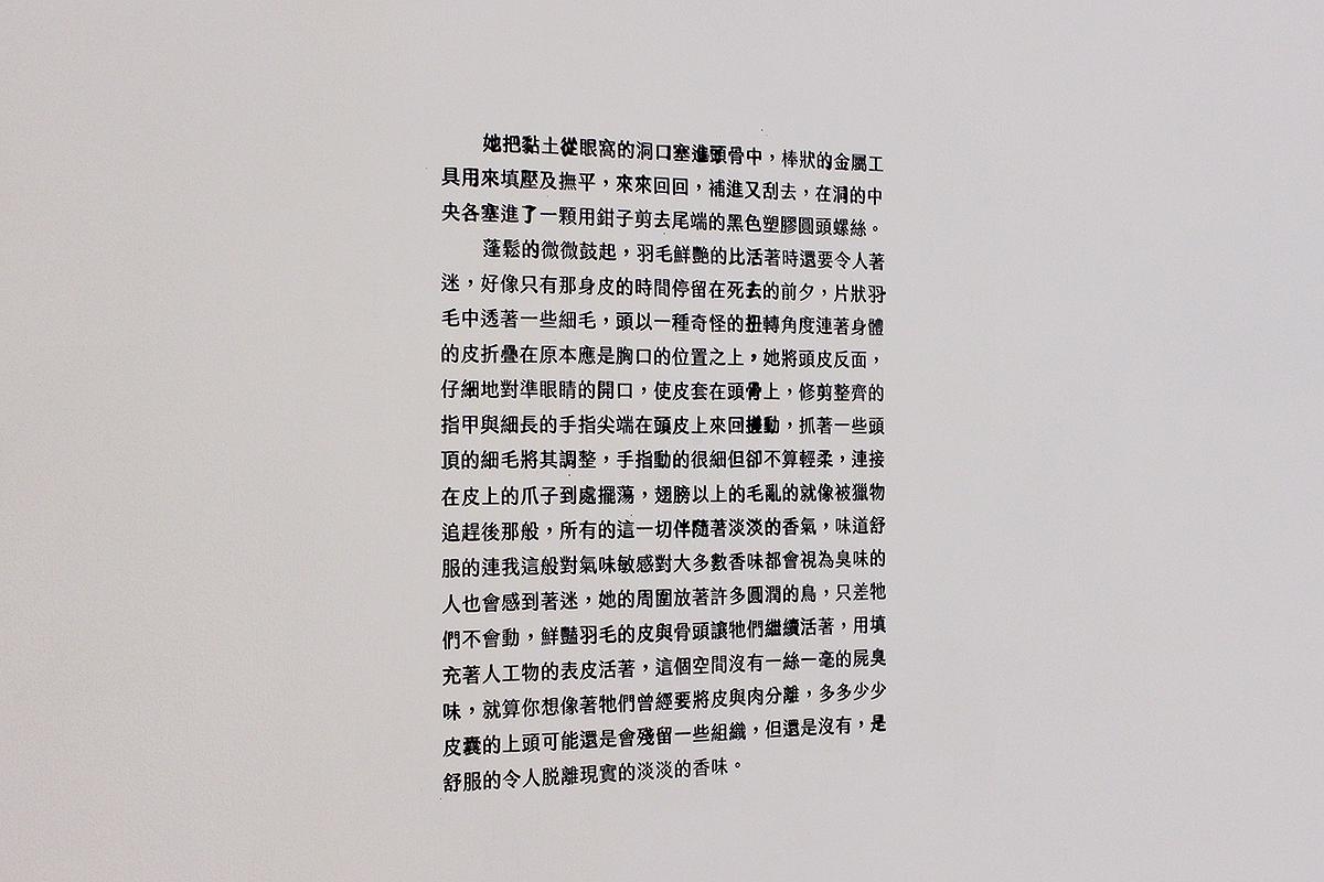 Memory Text/Perceptual Situation/Syun Kuan - 6's Cover