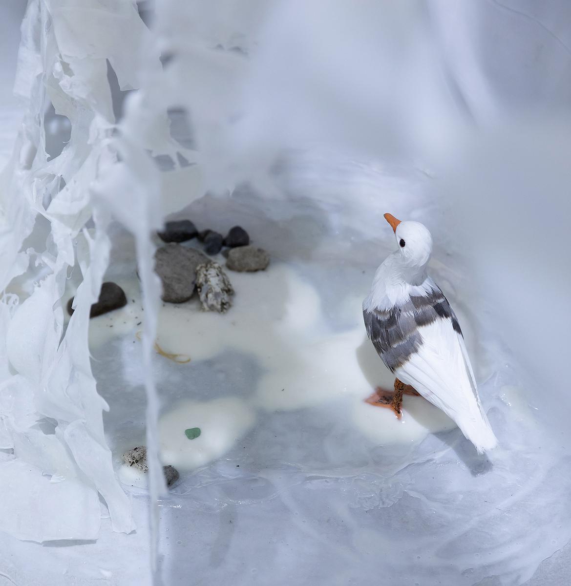 〈流變空間〉，2022，樹酯、海邊的保麗龍、玻璃碎片、石頭、繪製後模型海鷗、痱子粉、Antari ICE-101，依場域而定，作品局部的封面圖