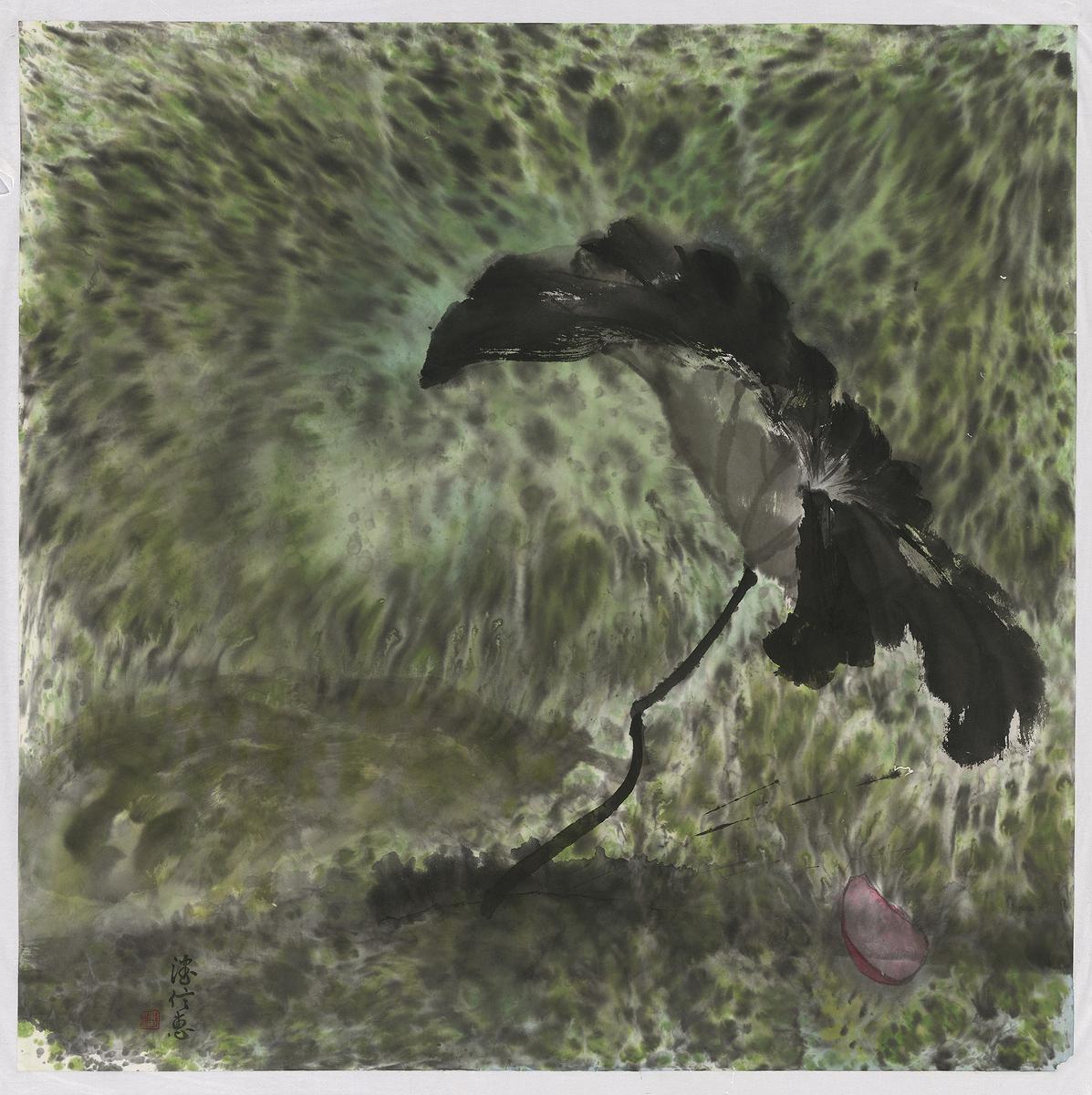 The Ecological Beauty in Yangmingshan-11's Cover