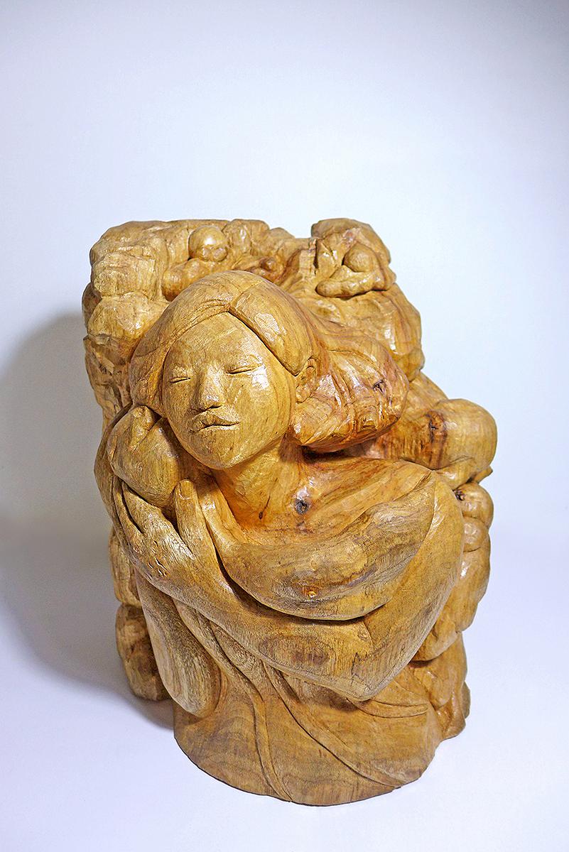 2017思暮月亮h的封面圖