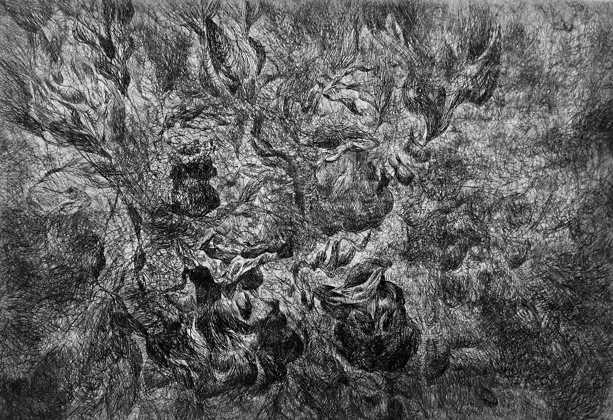 〈豬籠草之二〉，2017，油墨、紙， image size：26.8 cm × 39 cm.的封面圖