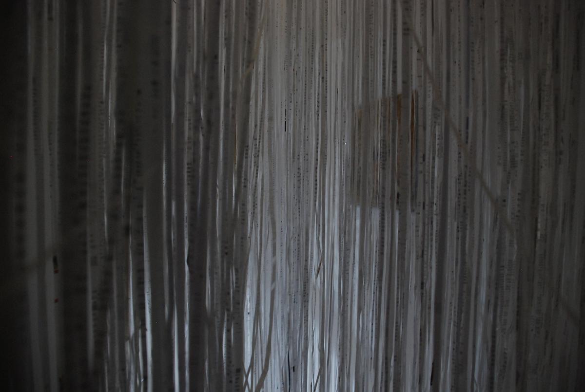 生命意象-線性局部2的封面圖