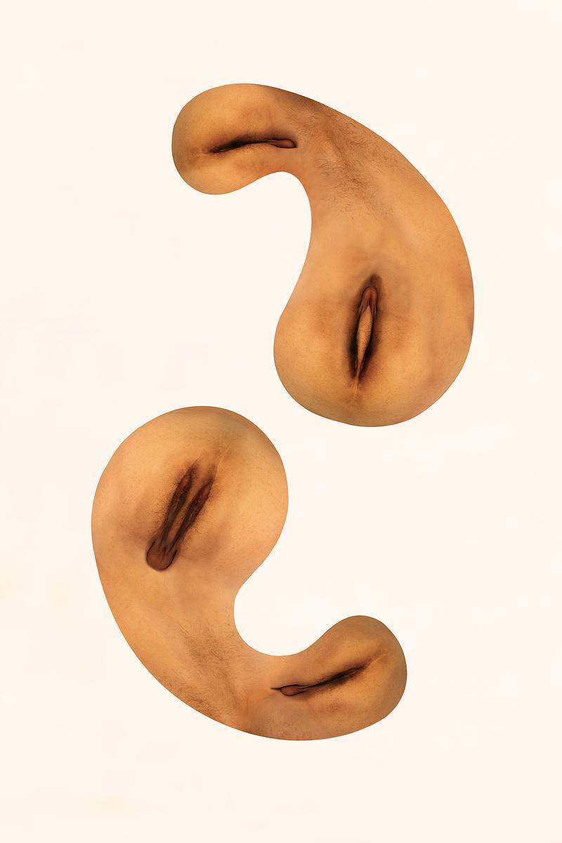 The Injection of Rubber Prostate—2's Cover