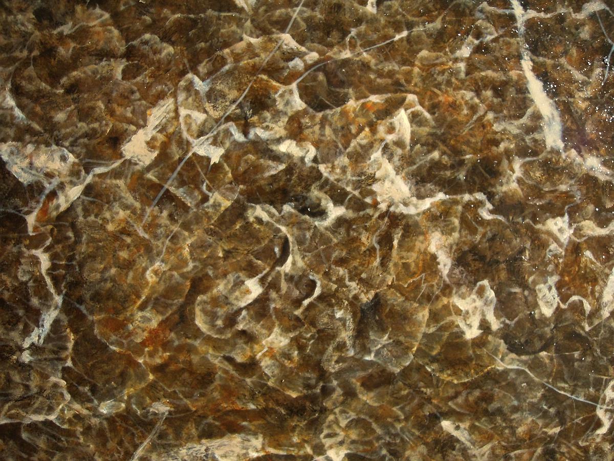 Floating scene － Space Deployment of The Metamorphosis Scenes's Cover